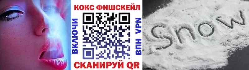 КОКАИН Fish Scale  наркотики  Киселёвск 