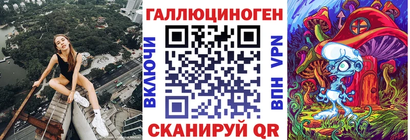 MEGA зеркало  Киселёвск  маркетплейс как зайти  Псилоцибиновые грибы мицелий 